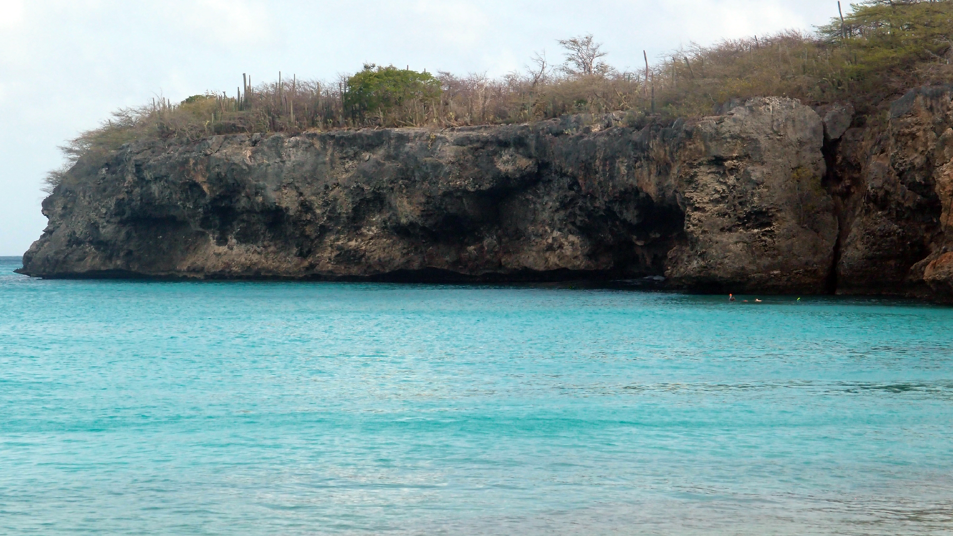 2022-04-15 Grote Knipp (am Strand und im Wasser) (Foto, Video)